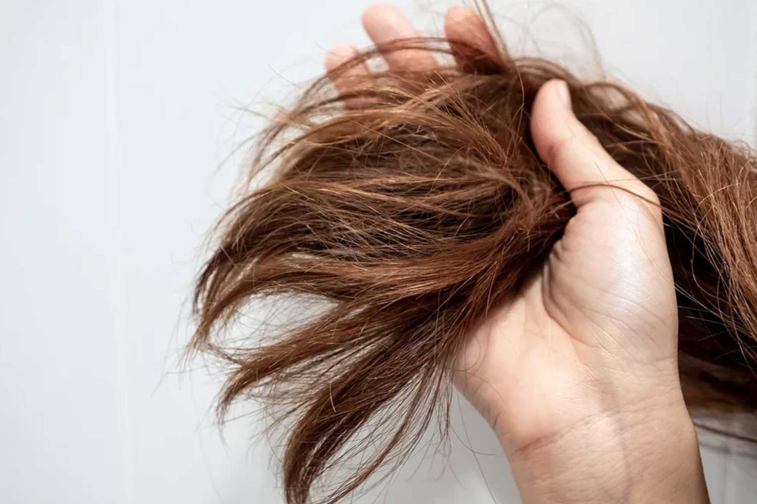 Dry Hair: Our Advice on What You Can do About It